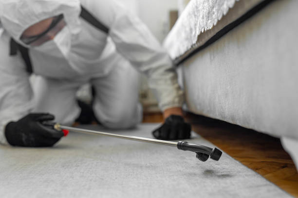 Professional Bed Bug Control technician working in Union County County, IN